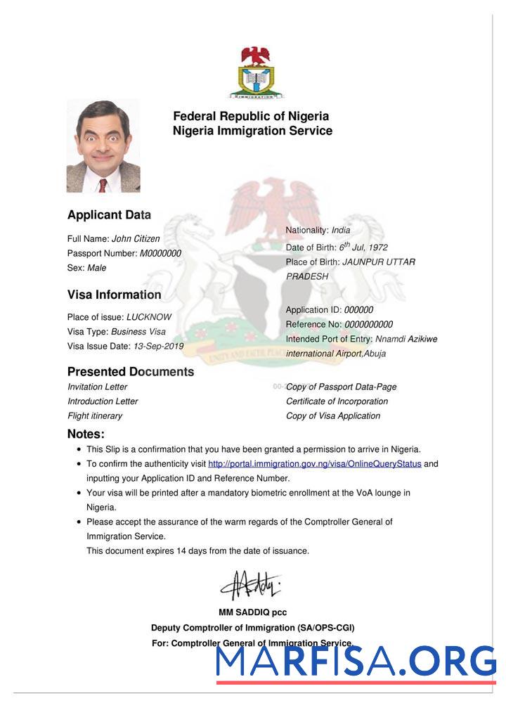Realistic Nigeria e visa download for verification